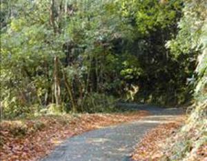 歴史の里遊歩道