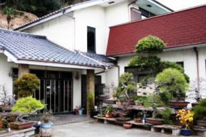 出羽の湯温泉 宝来館(ほうらいかん)