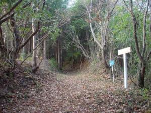 国見山(くにみやま)