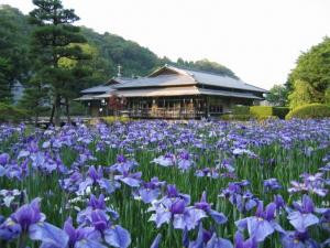 西山の里桃源（にしやまのさと とうげん）