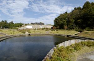 大里宗庵前親水公園（おおさとそうあんまえしんすいこうえん）