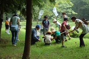 森の自然学習（大子町：奥久慈いこいの森）