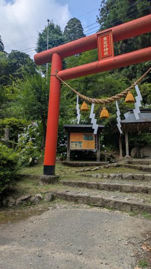 東金砂神社　紫陽花情報
