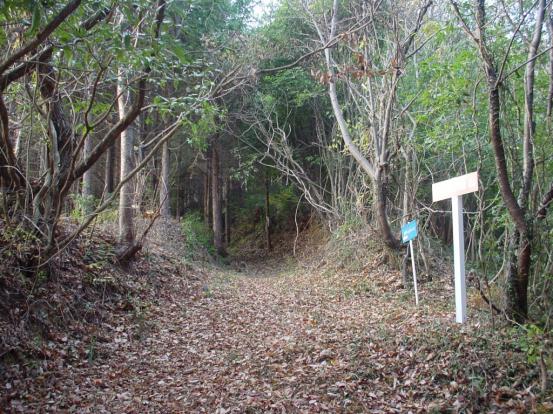 『国見山』の画像