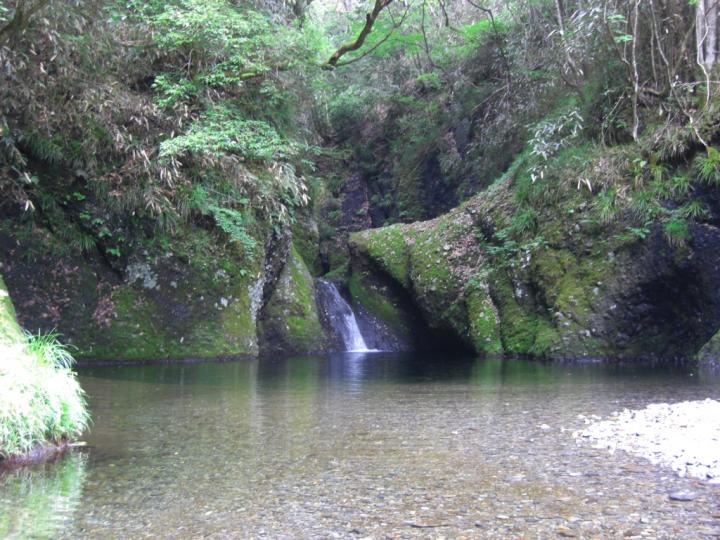 『亀ヶ淵』の画像