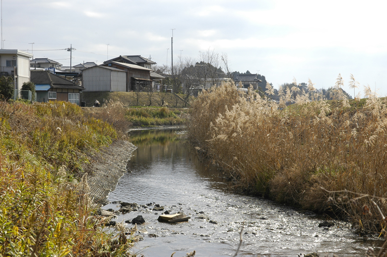 『源氏川』の画像