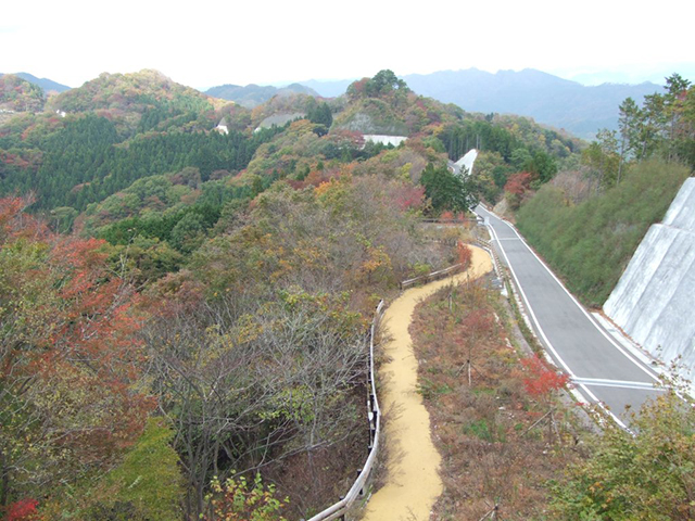 『武生林道』の画像