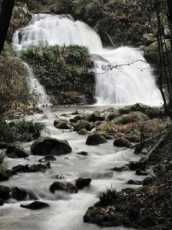 『河鹿沢の雄滝』の画像