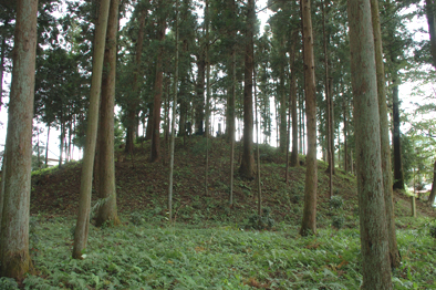 『梵天山古墳群』の画像