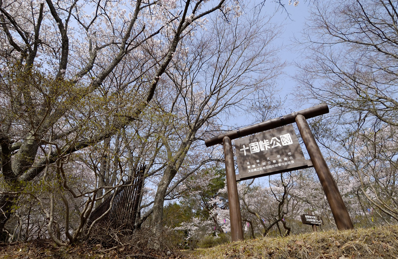 『十国峠公園01』の画像