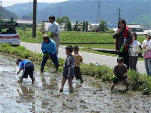 『わくわく体験コース02』の画像