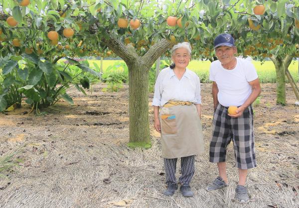 『優秀賞 中村梨園夫妻(渡部）』の画像