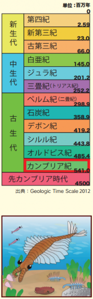 『geo39』の画像