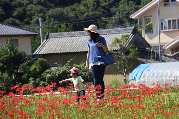 『入選「見て」近藤寿一』の画像