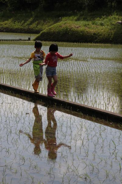 『ノミネート賞　バランスをとりながら（中野律子）』の画像