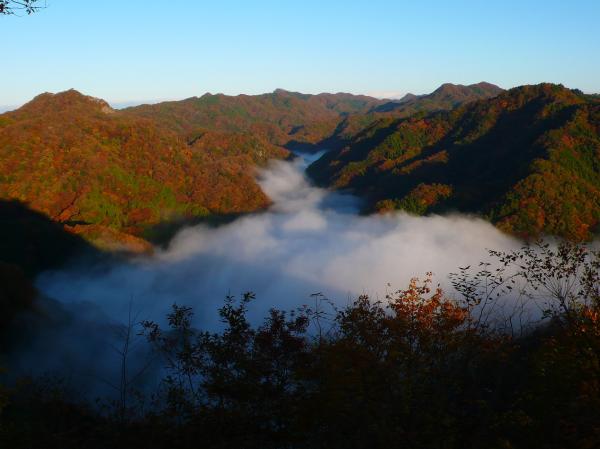 『ノミネート賞　竜神峡の朝（木村勝）』の画像