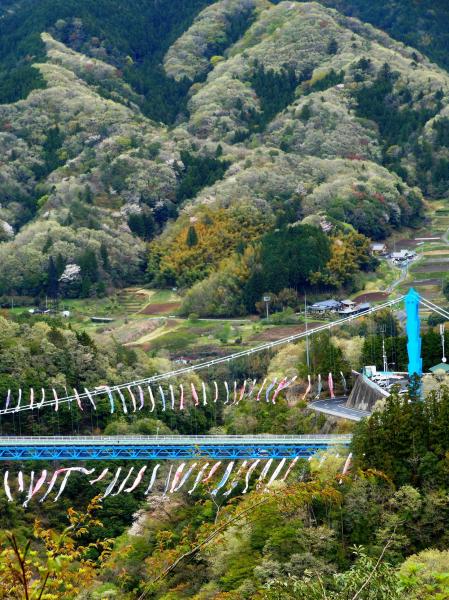 『ノミネート賞「春の里山と大吊り橋」(久保田直正)』の画像