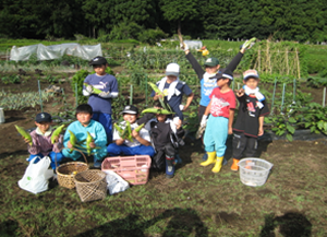 『畑で旬の野菜を収穫』の画像