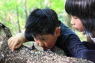 『虫の魅力に引き込まれます』の画像