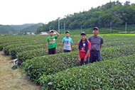 『奥久慈茶の産地』の画像