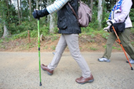 『ポールを持って歩くことで、 正しい歩行姿勢に』の画像