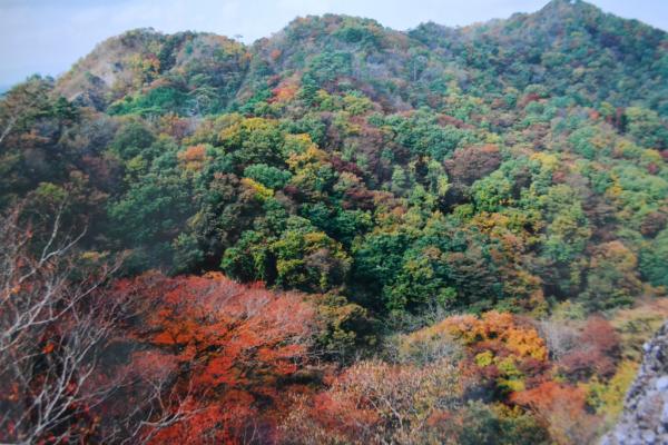 『鍋足山眺望』の画像