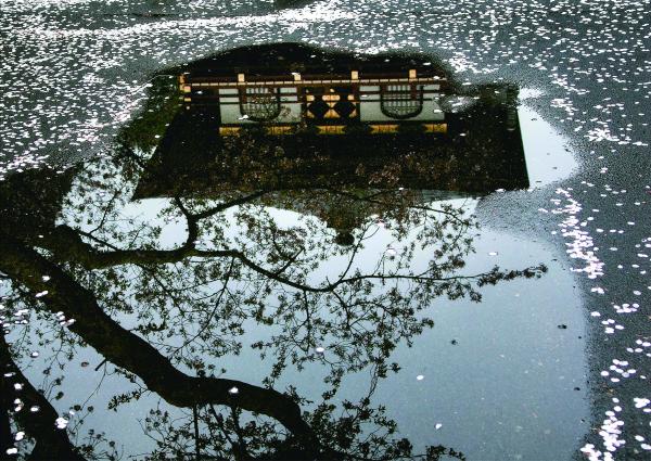 『グランプリ_水鏡（小室博彦）』の画像