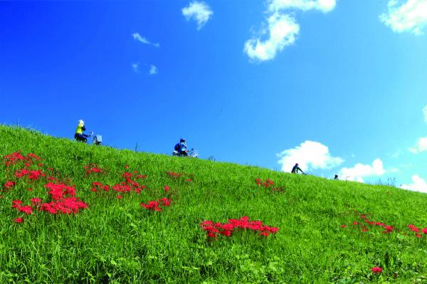 『特別賞(観光物産協会長)_さわやかな風に誘われて（後藤勝義）』の画像