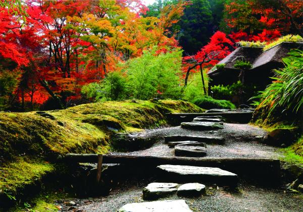 『入選_秋色彩る庭（和田浩）』の画像