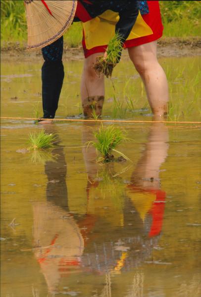 『魅力アップ部会賞(岡部)田上勤』の画像