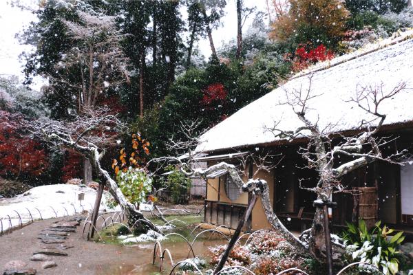 『魅力アップ部会賞(山口)後藤勝義』の画像