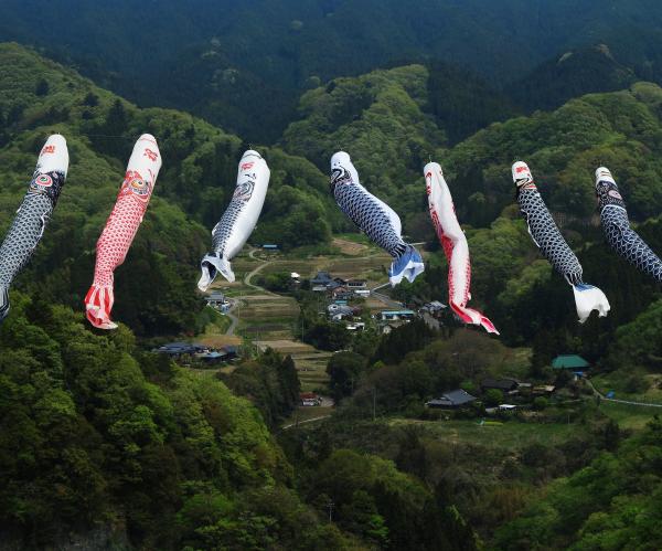 『第１回 入選 屋根より高く(古谷韶夫)』の画像