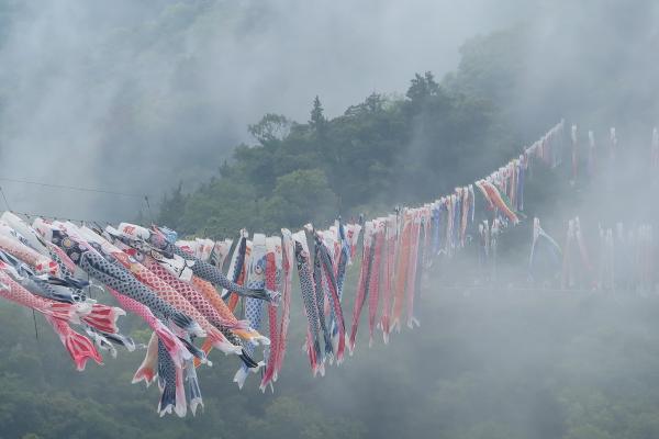 『第１回 佳作 靄の中に浮かぶ鯉のぼり（羽賀佐智子）』の画像