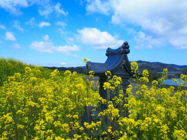 『第１回 セレクト賞 小さな神様(花ヶ崎風哉)』の画像