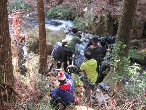 『おんな城主直虎ロケ風景7』の画像