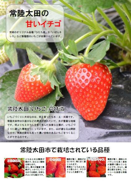 『常陸太田の甘いいちご2017（表）』の画像