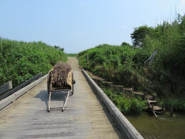 『西郷どんロケ風景02』の画像