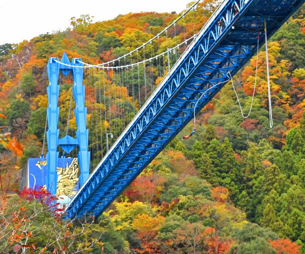 『紅葉に囲まれて』の画像