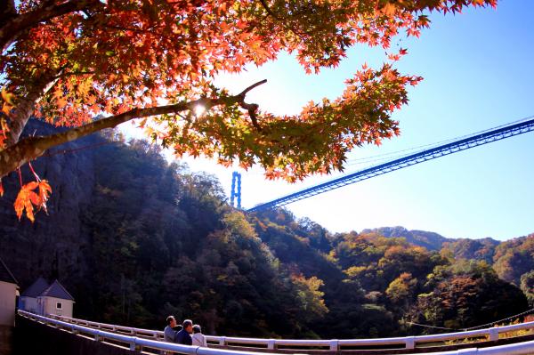 『紅葉狩り』の画像