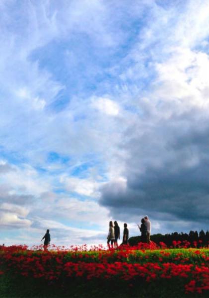 『優秀賞　佐藤邦夫　家族揃って曼珠沙華』の画像