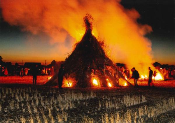 『観光物産協会長賞　手嶋言子　鳥追い祭り』の画像