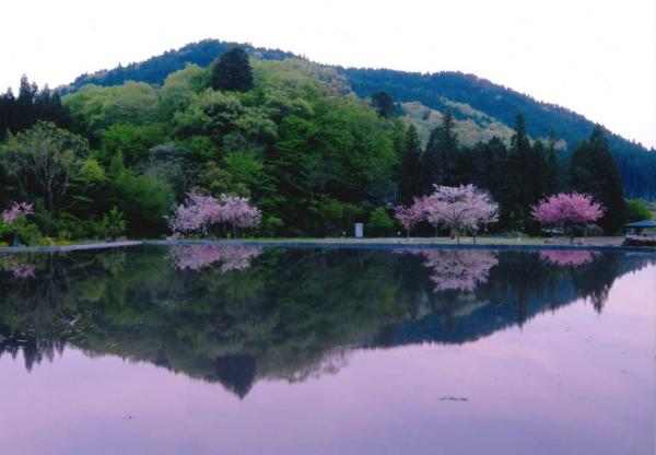 『山田屋賞　鈴木行信　静寂』の画像