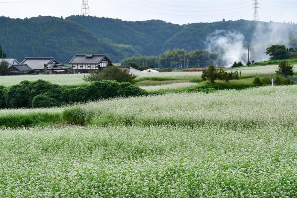 『第5回フォトコン 岡部賞』の画像