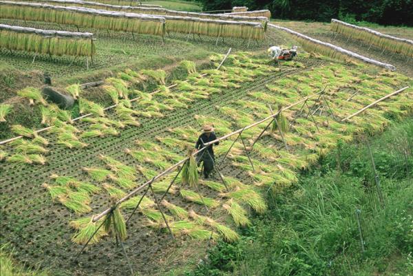 『第5回フォトコン 茨城フジカラー賞』の画像