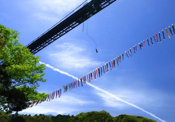『第30回鯉のぼりまつり入選2』の画像