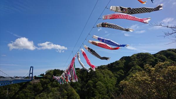 『第30回鯉のぼりまつりインスタ入選3』の画像