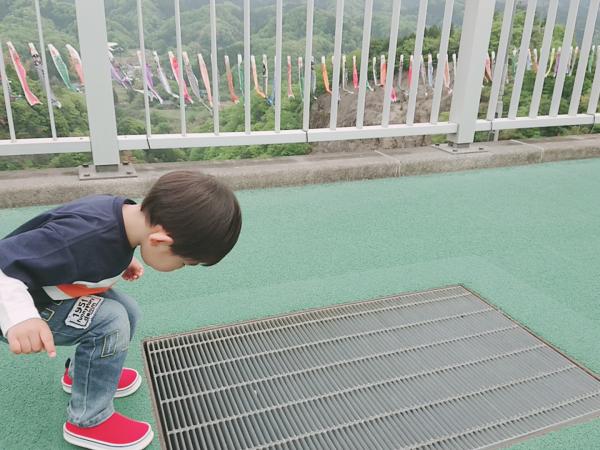 『第30回鯉のぼりまつりインスタ入選4』の画像