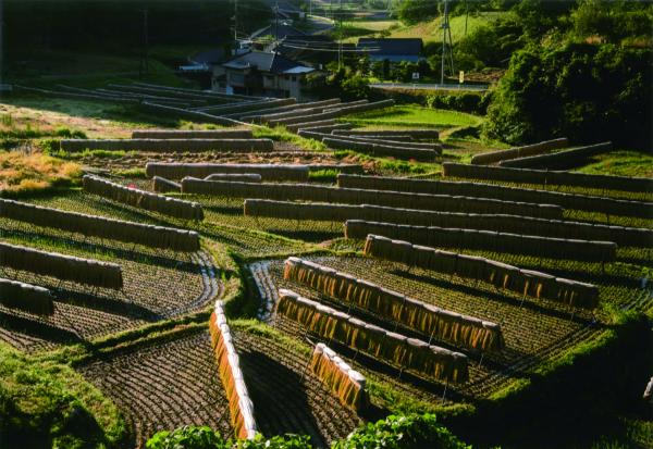 『第6回フォトコンテスト 岡部(名)賞』の画像