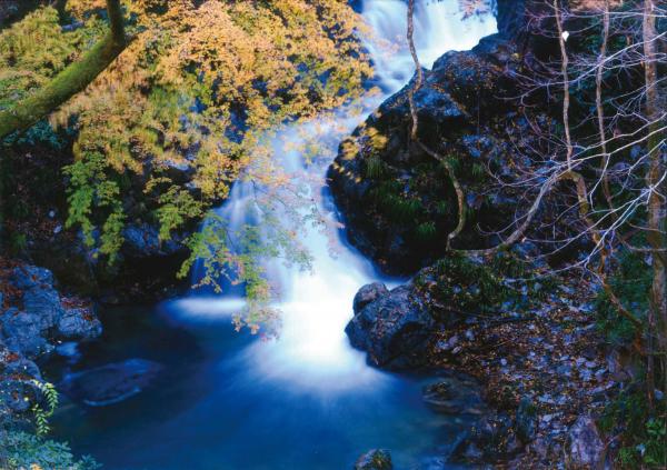 『第6回フォトコンテスト 山田屋旅館賞』の画像