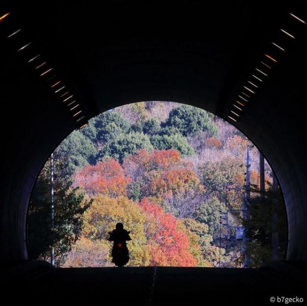『第7回常陸太田市フォトコン グランプリ【インスタグラム部門】』の画像